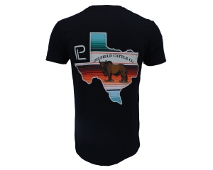 Texas Oil Field